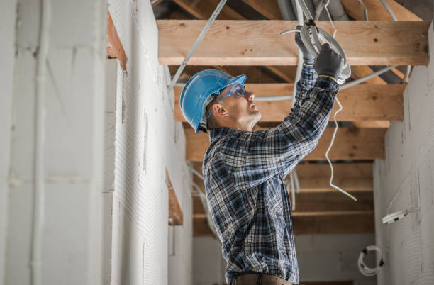 Best Electrician for Home Renovation  in Marissa, IL