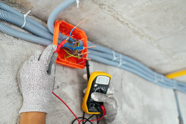 Best Electric Panel Repair  in Marissa, IL